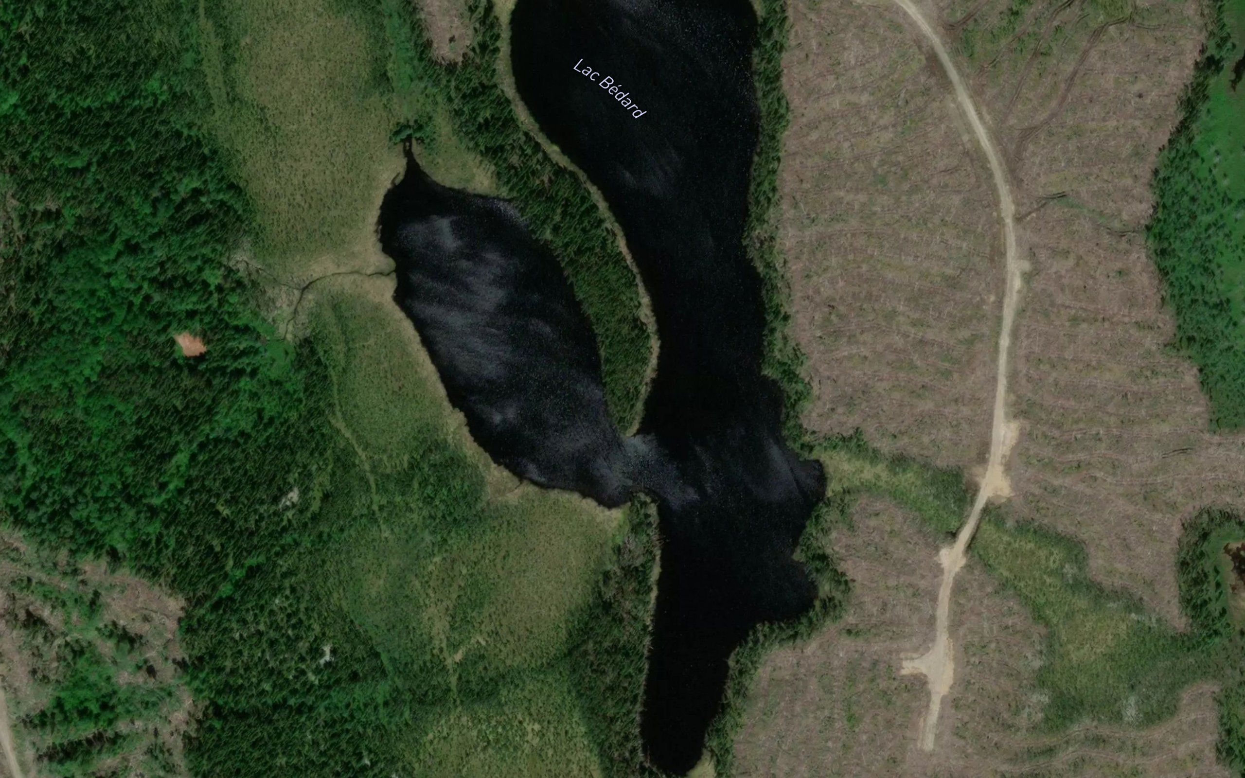 Lac Bedard