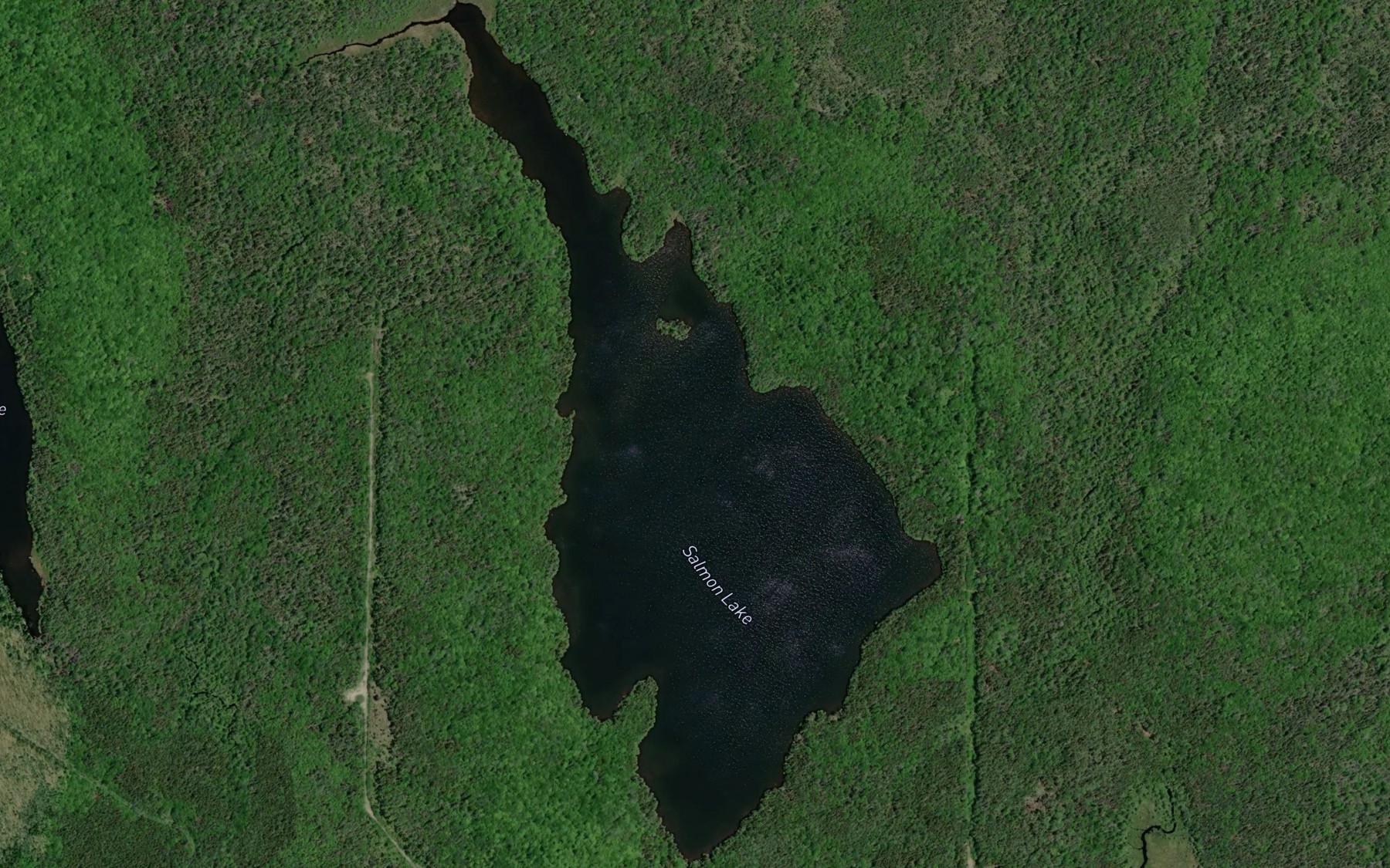 Satellite map of the Salmon Lake