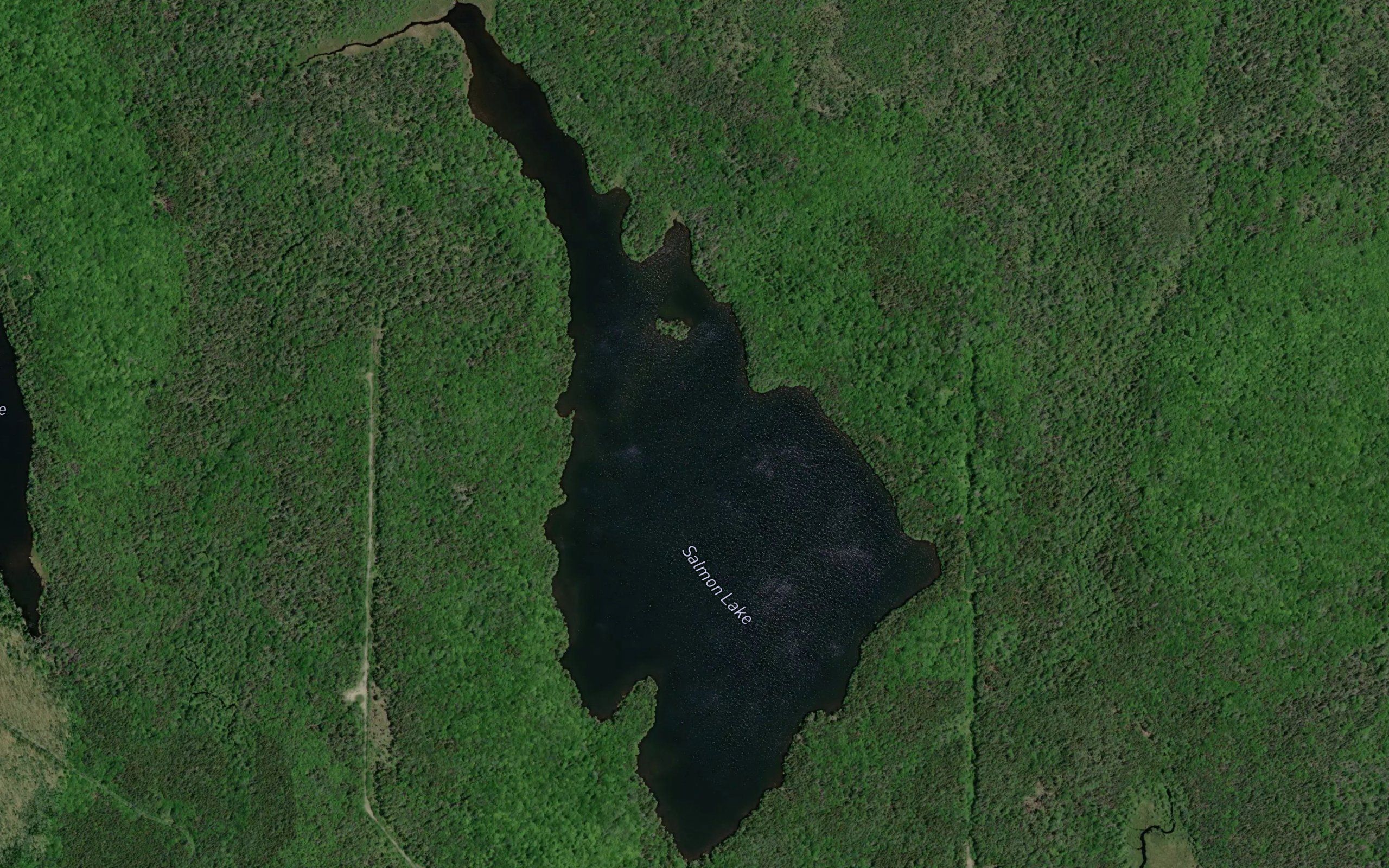 Salmon Lake