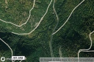 South Fork Trout Creek