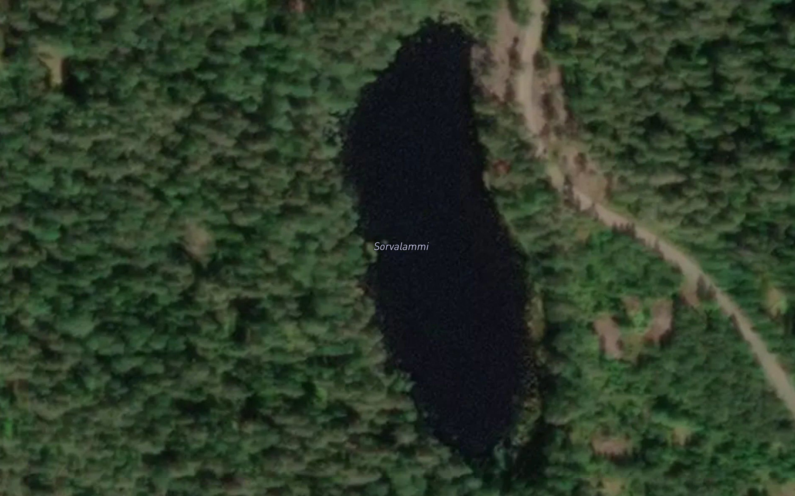 Sorvalammi
