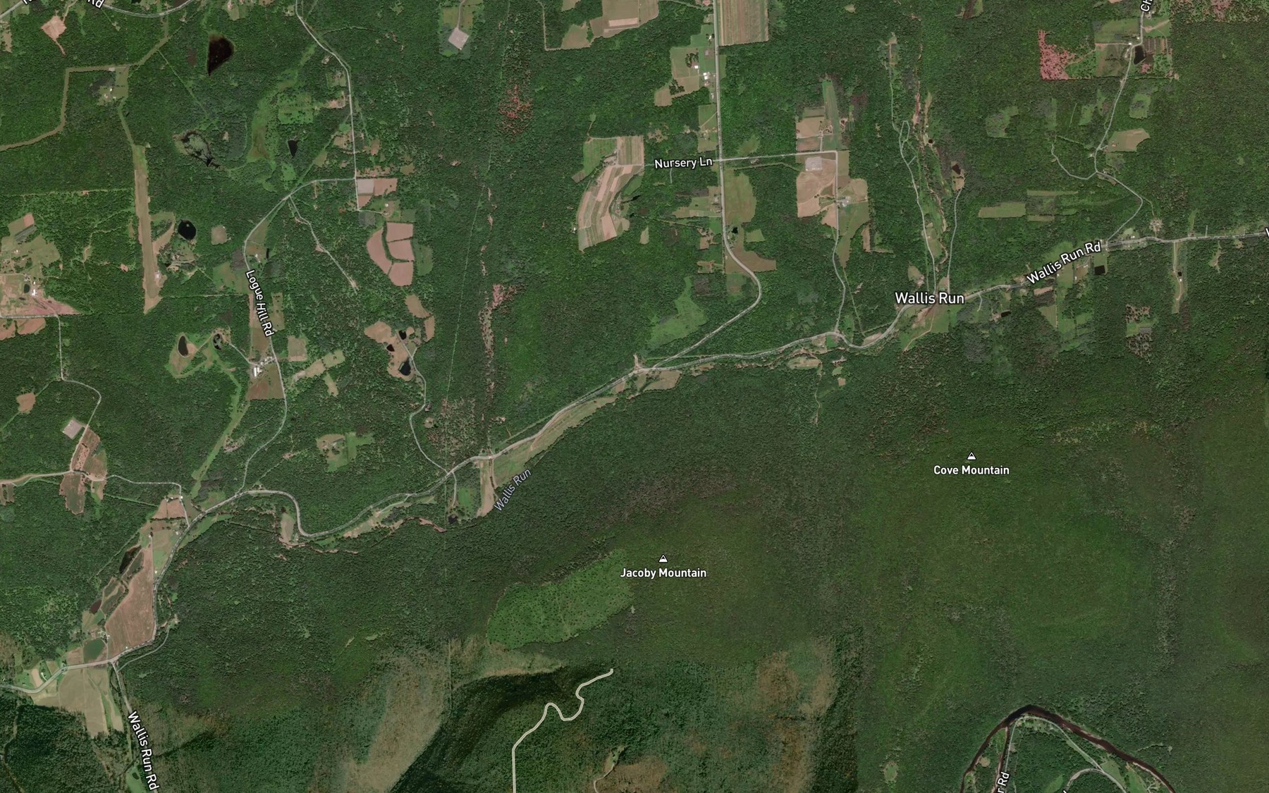 Satellite map of the Brewer Run