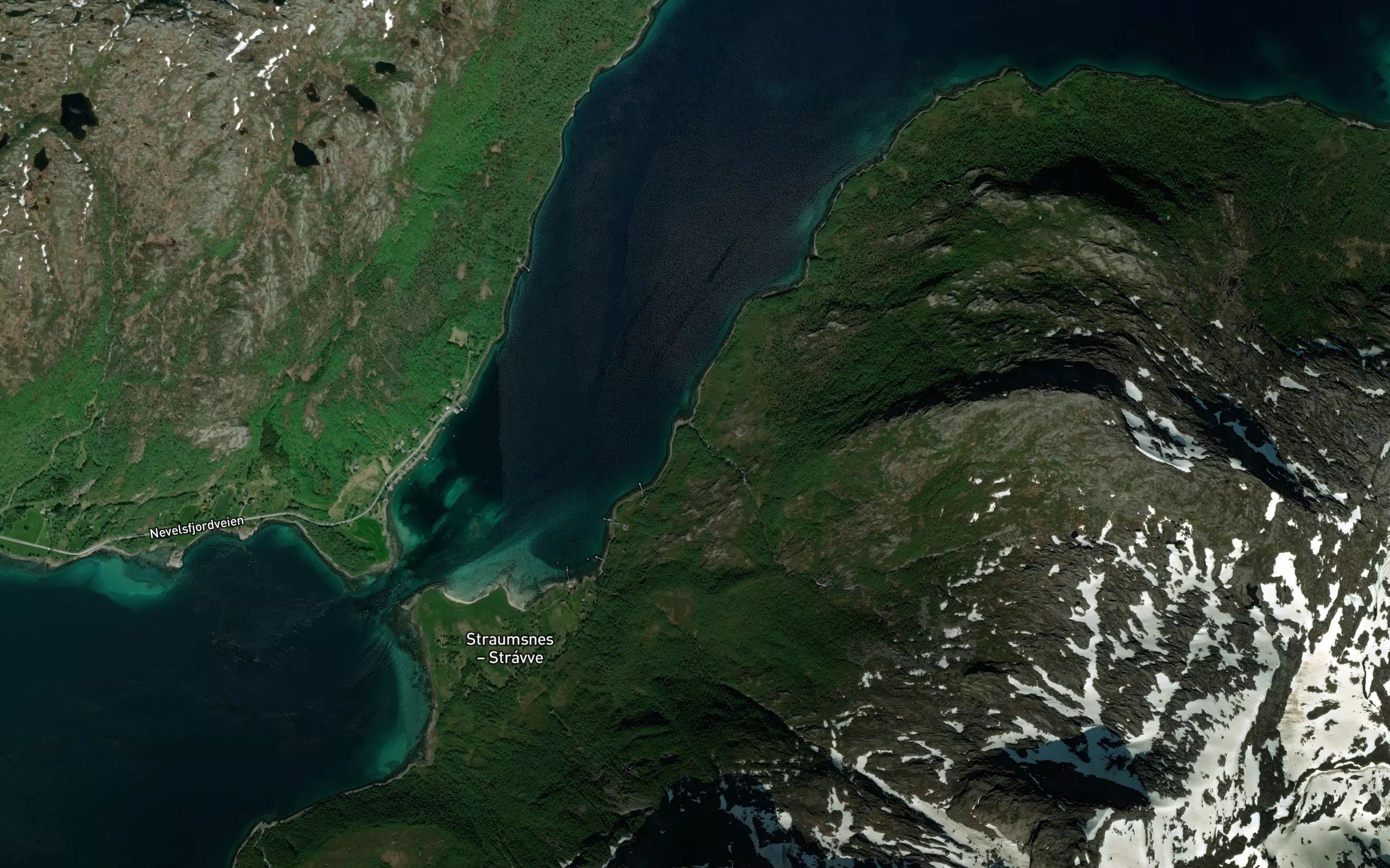 Bukkelva