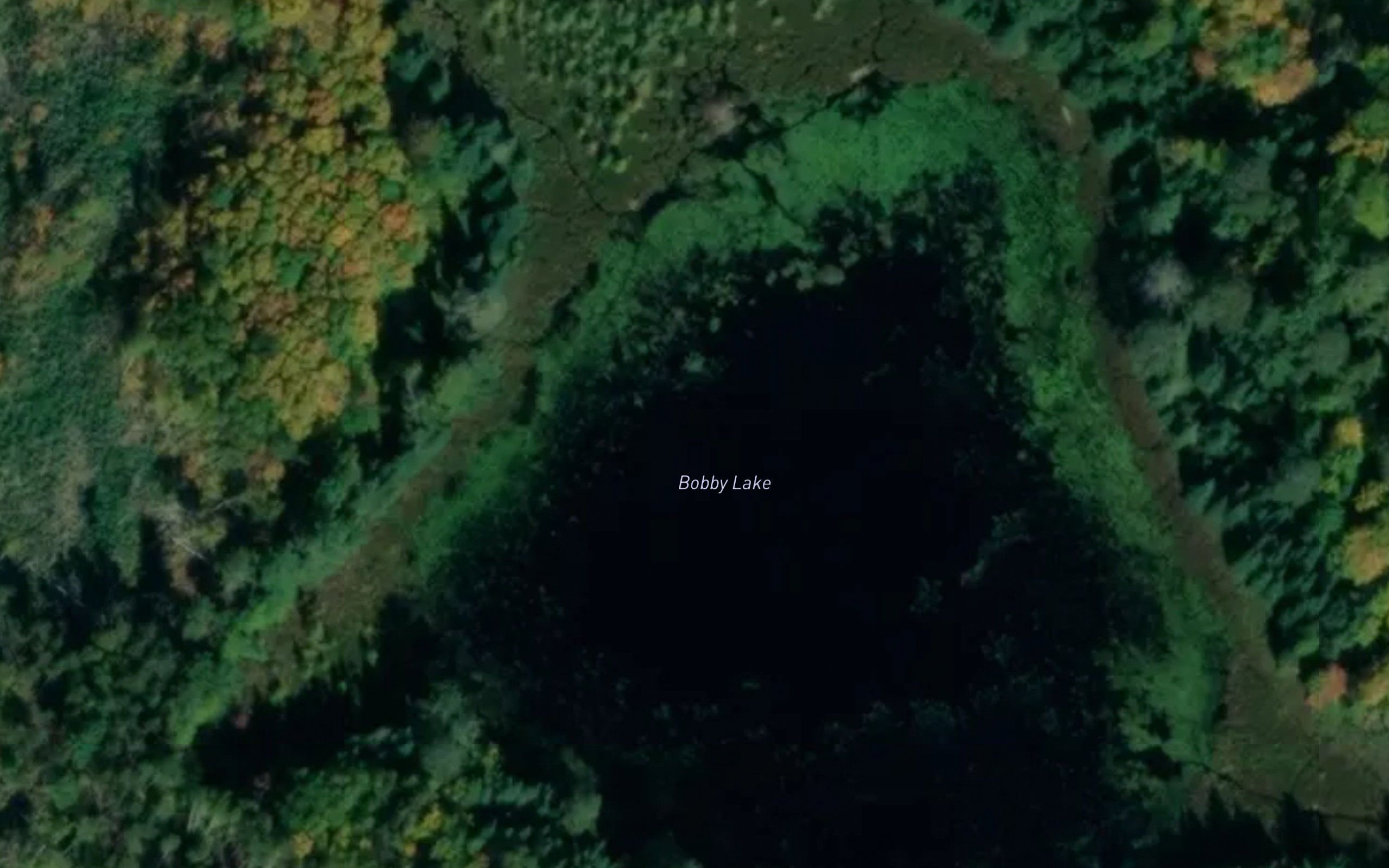 Bobby Lake