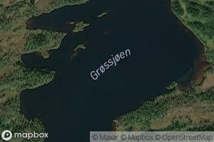 Grossjoen
