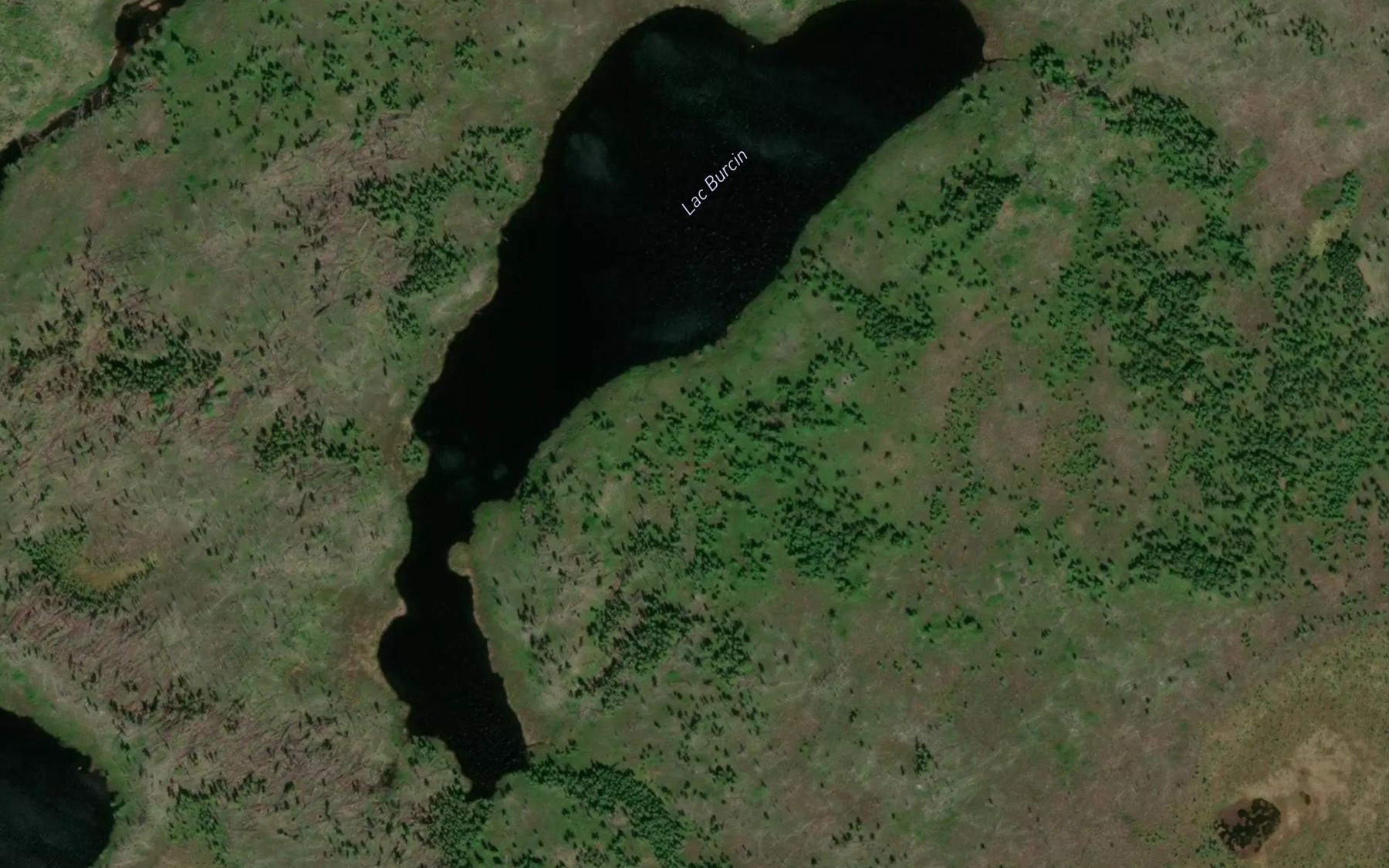 Satellite map of the Lac Burcin