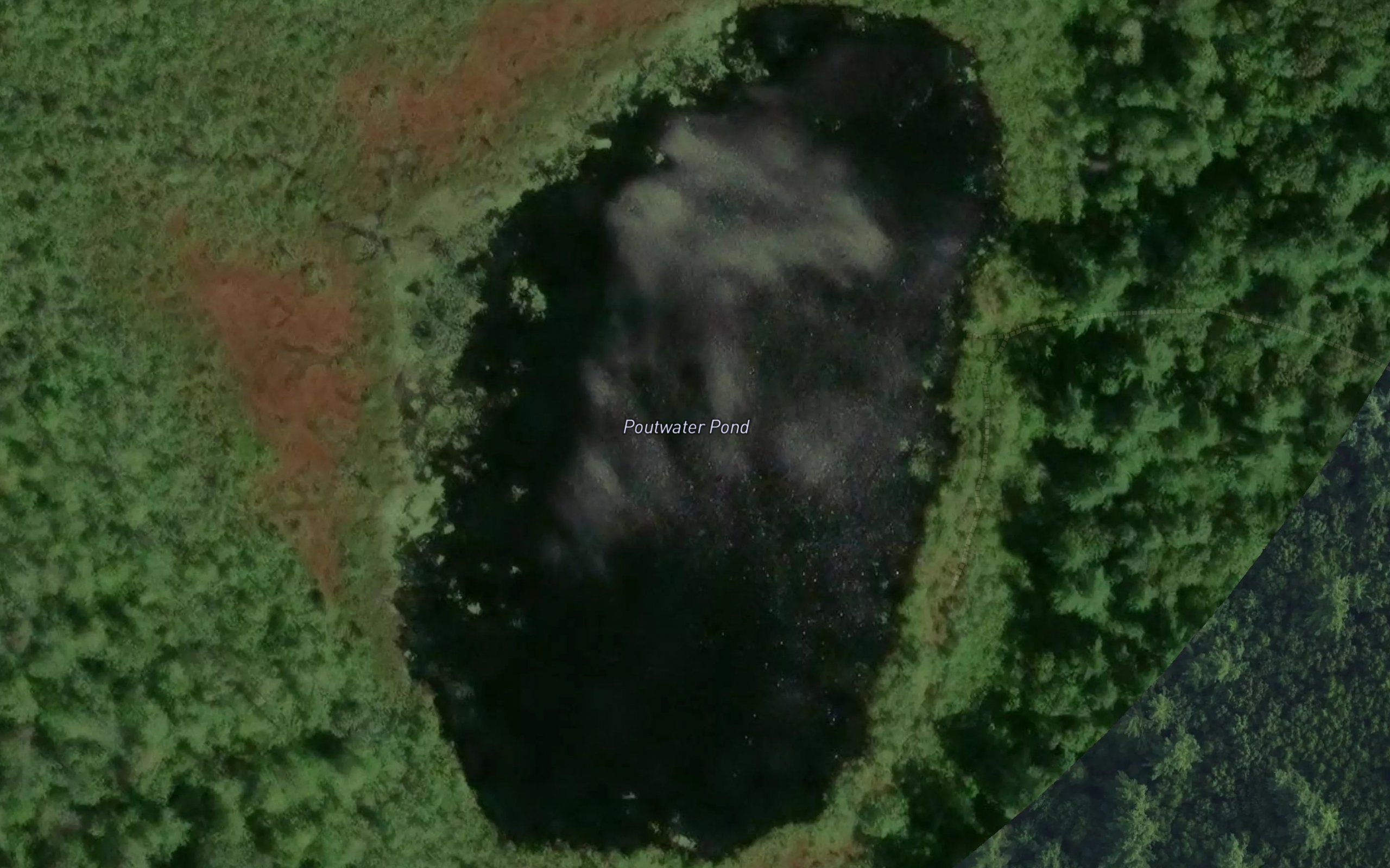 Poutwater Pond