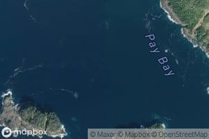 Pay Bay