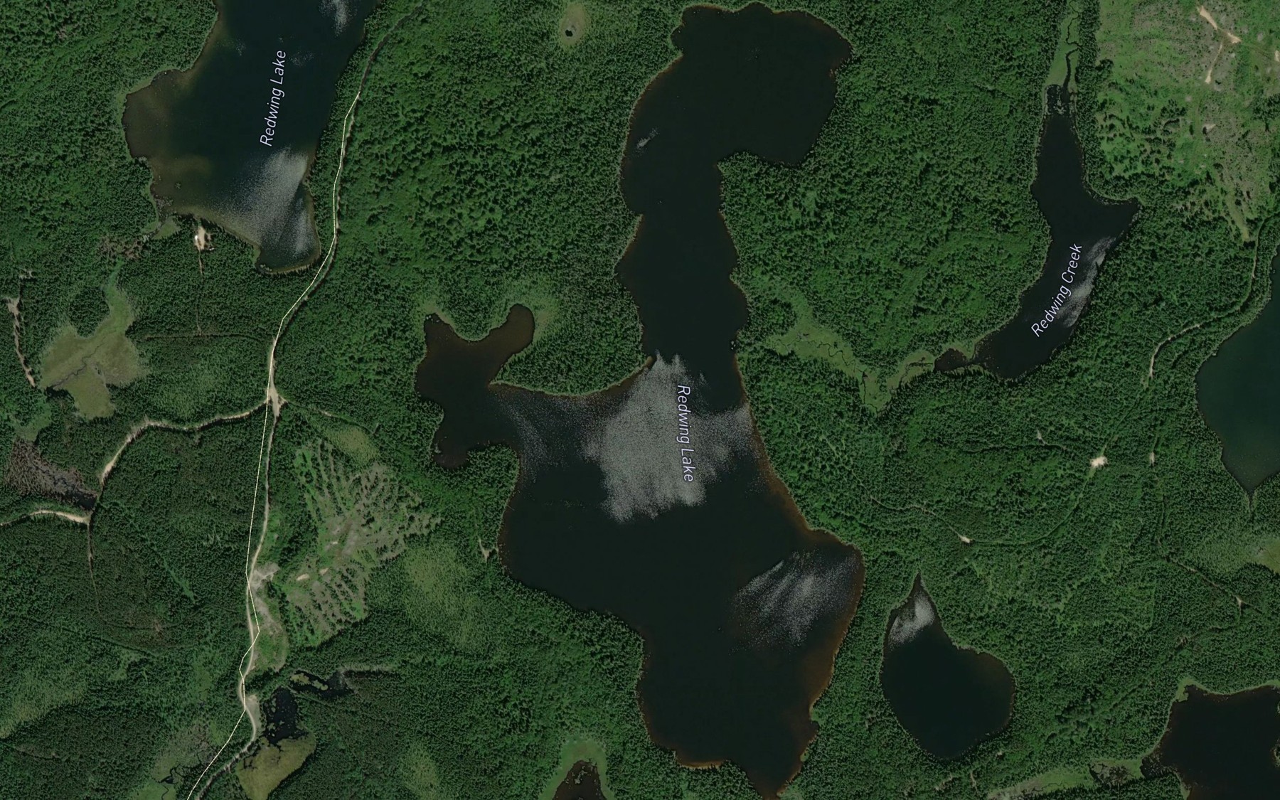 Satellite map of the Redwing Lake