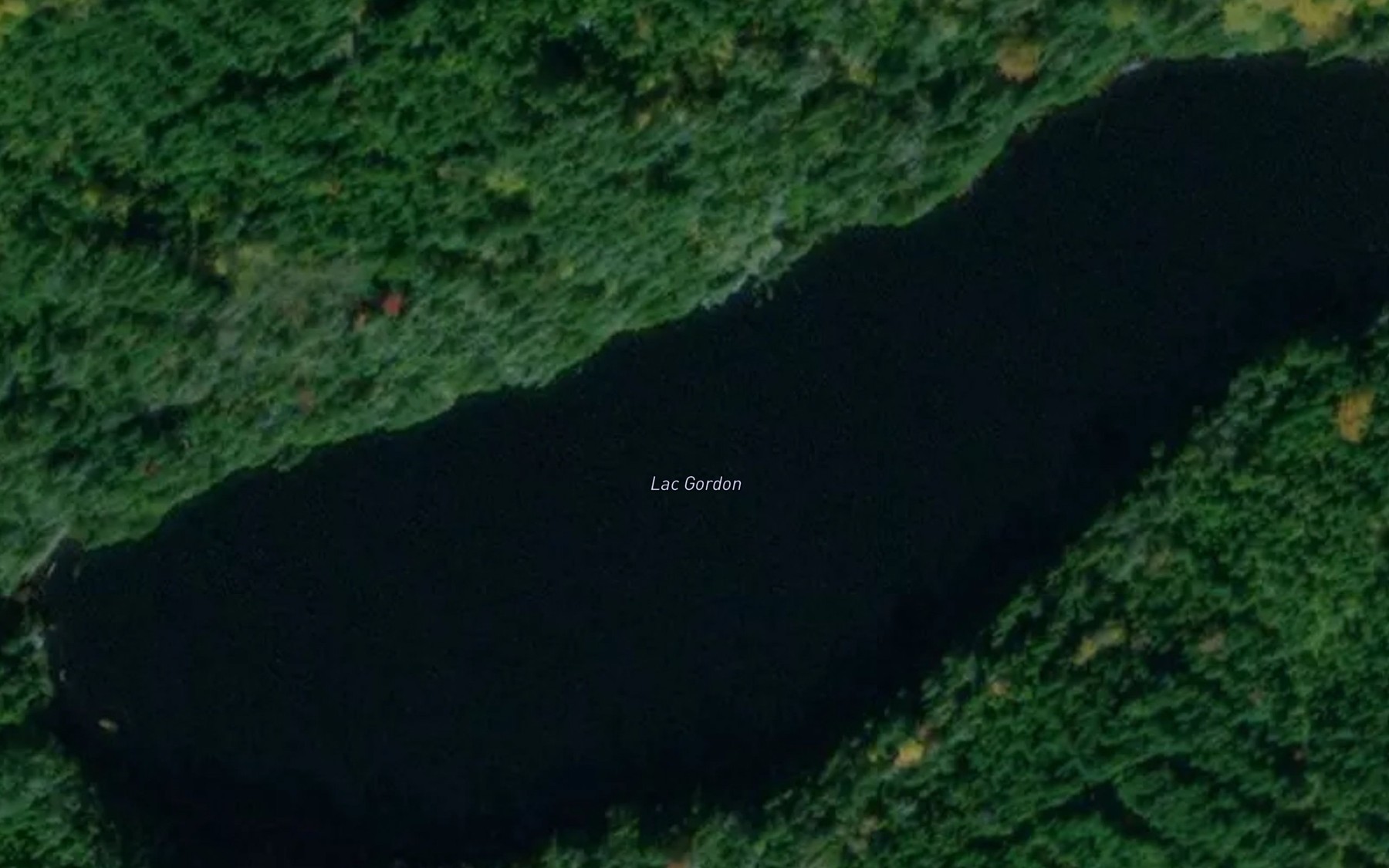 Satellite map of the Lac Gordon