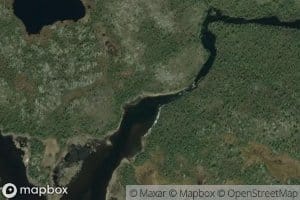 Nyavka