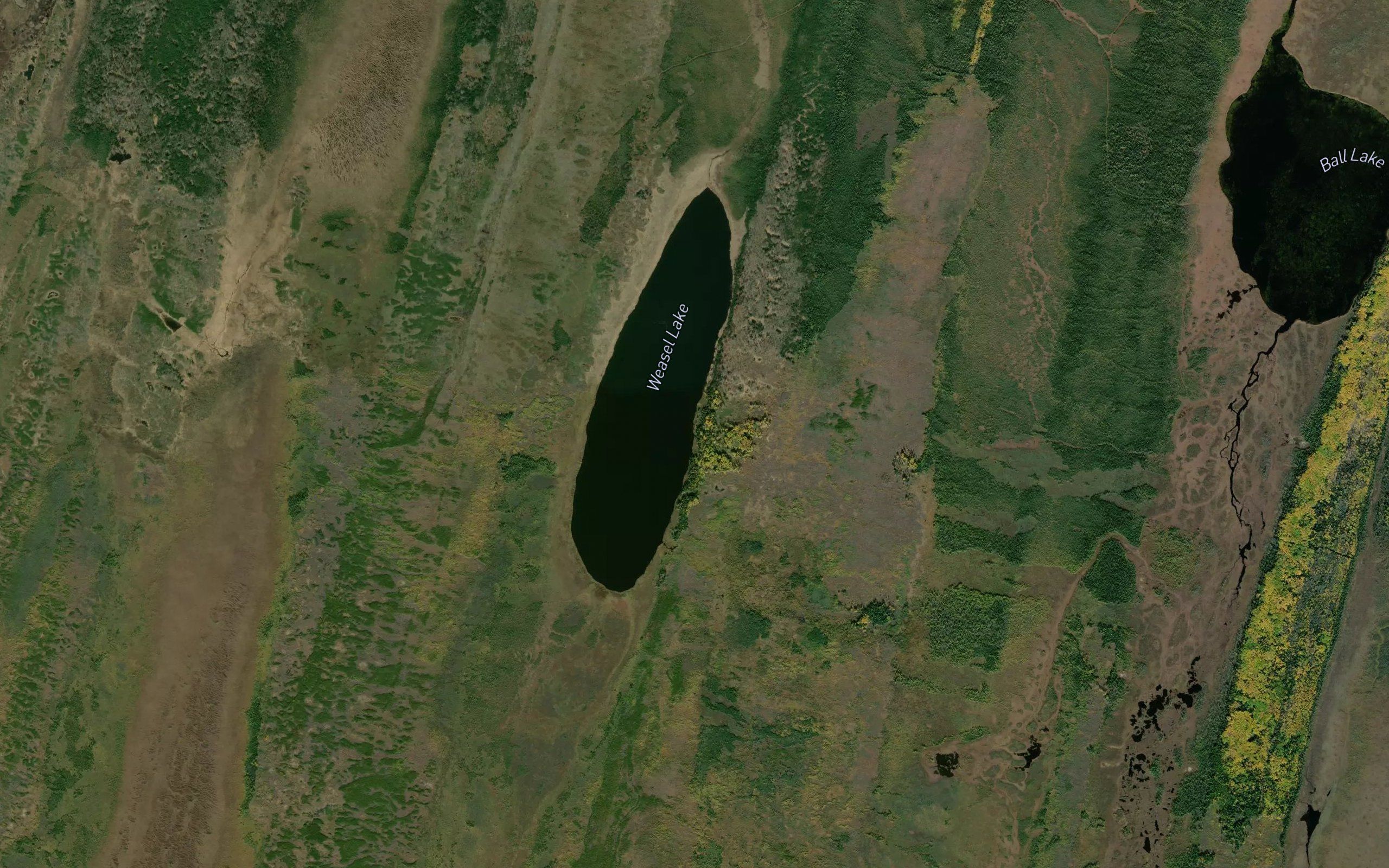 Weasel Lake