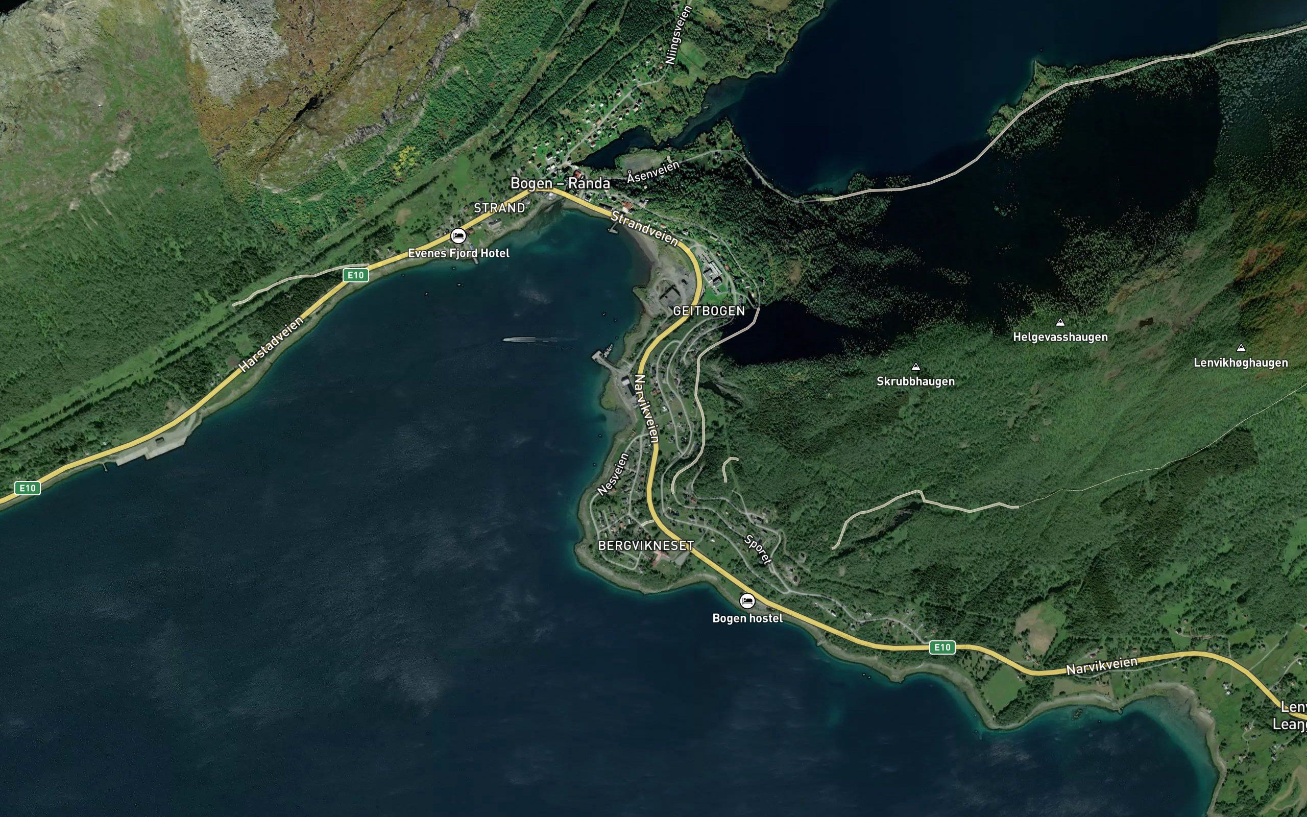 Bergvika