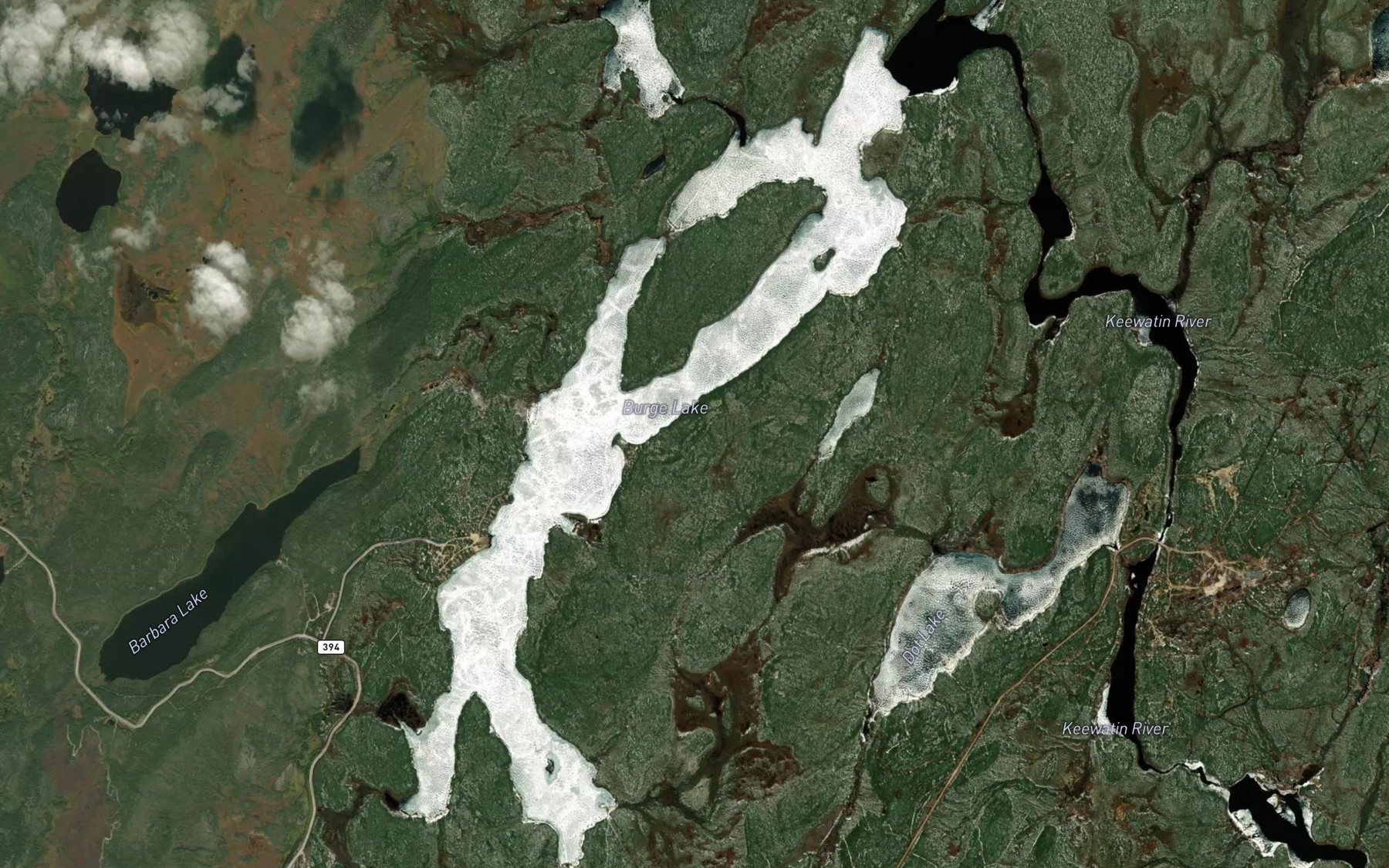 Satellite map of the Burge Lake