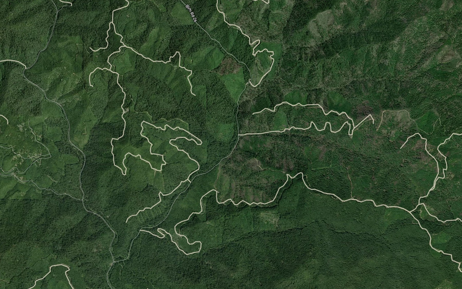 Satellite map of the Lost Bucket Creek