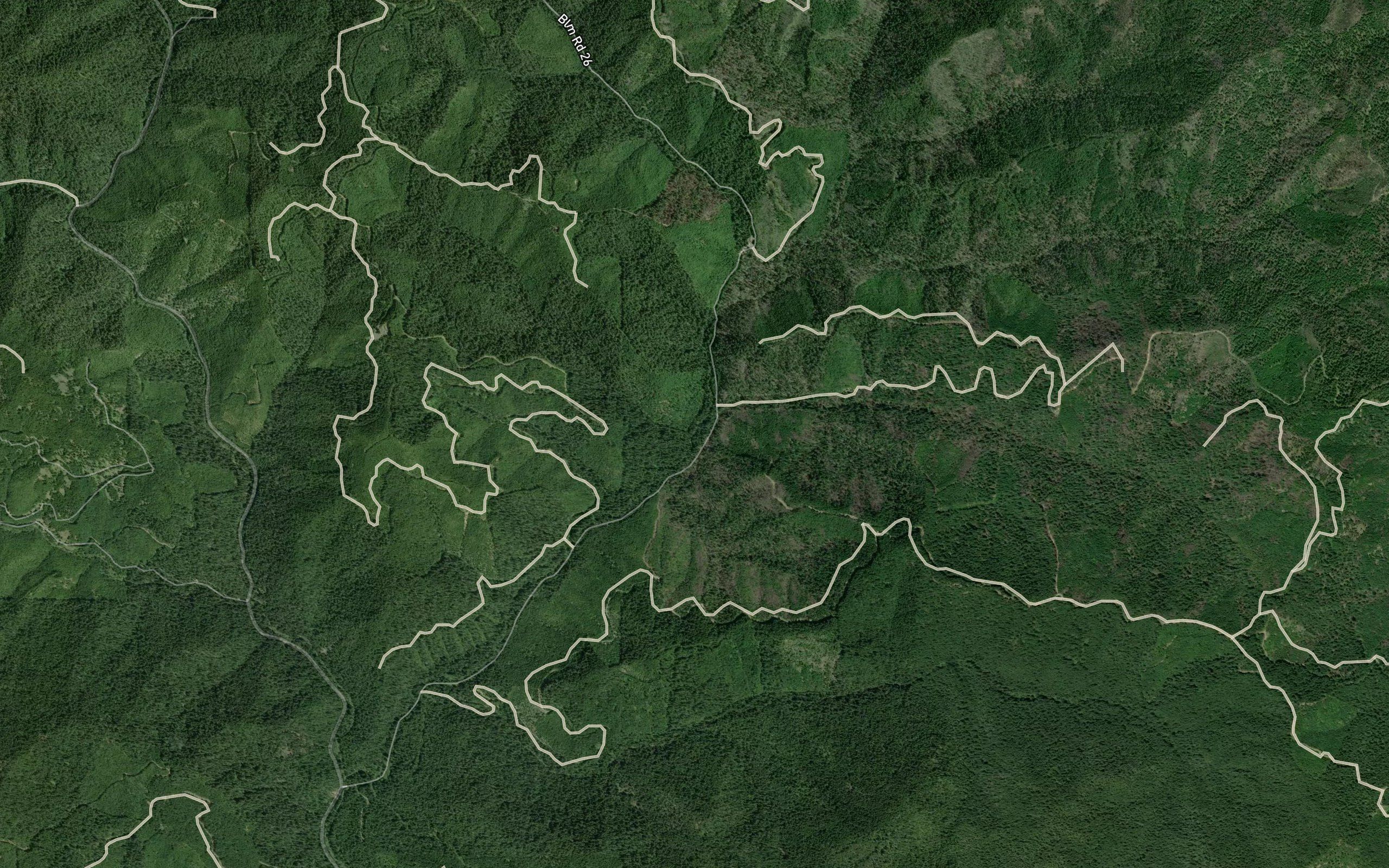 Lost Bucket Creek