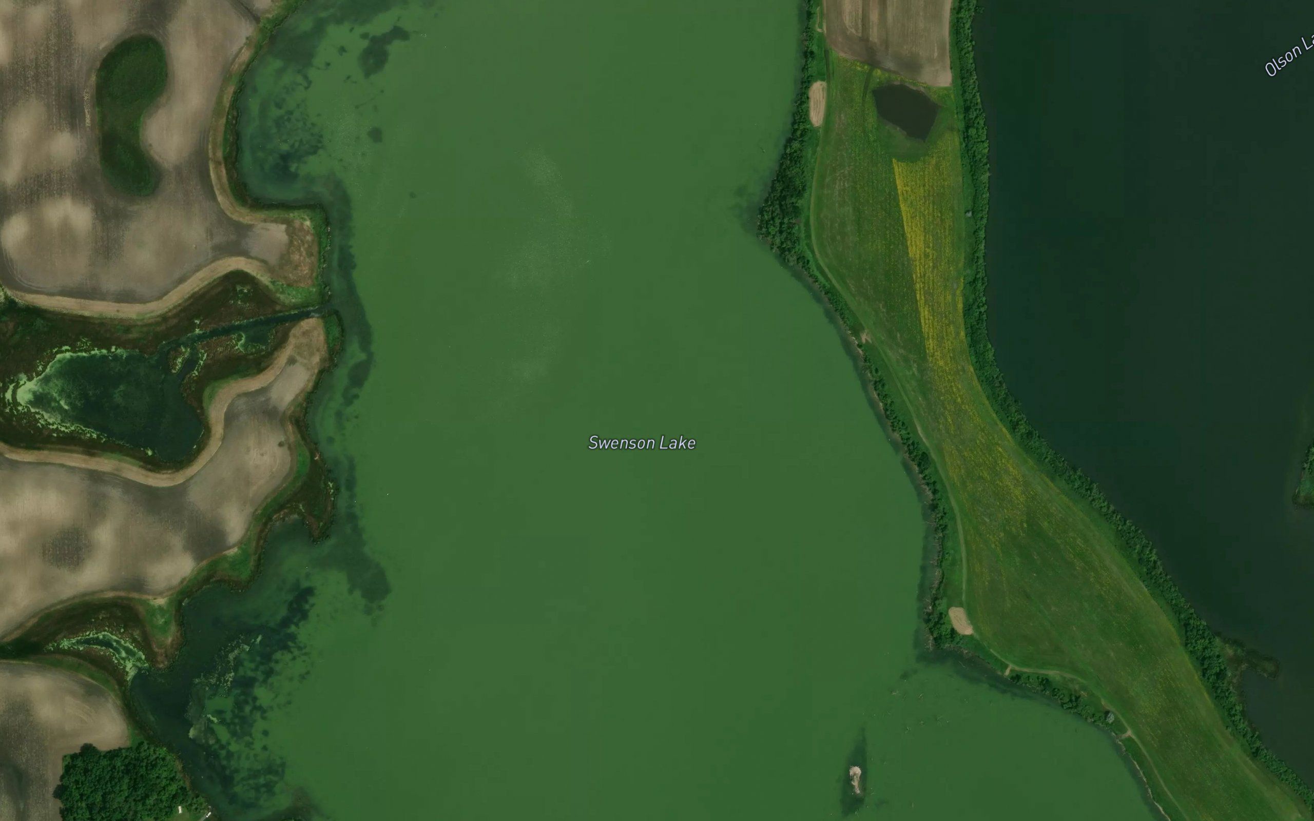 Swenson Lake