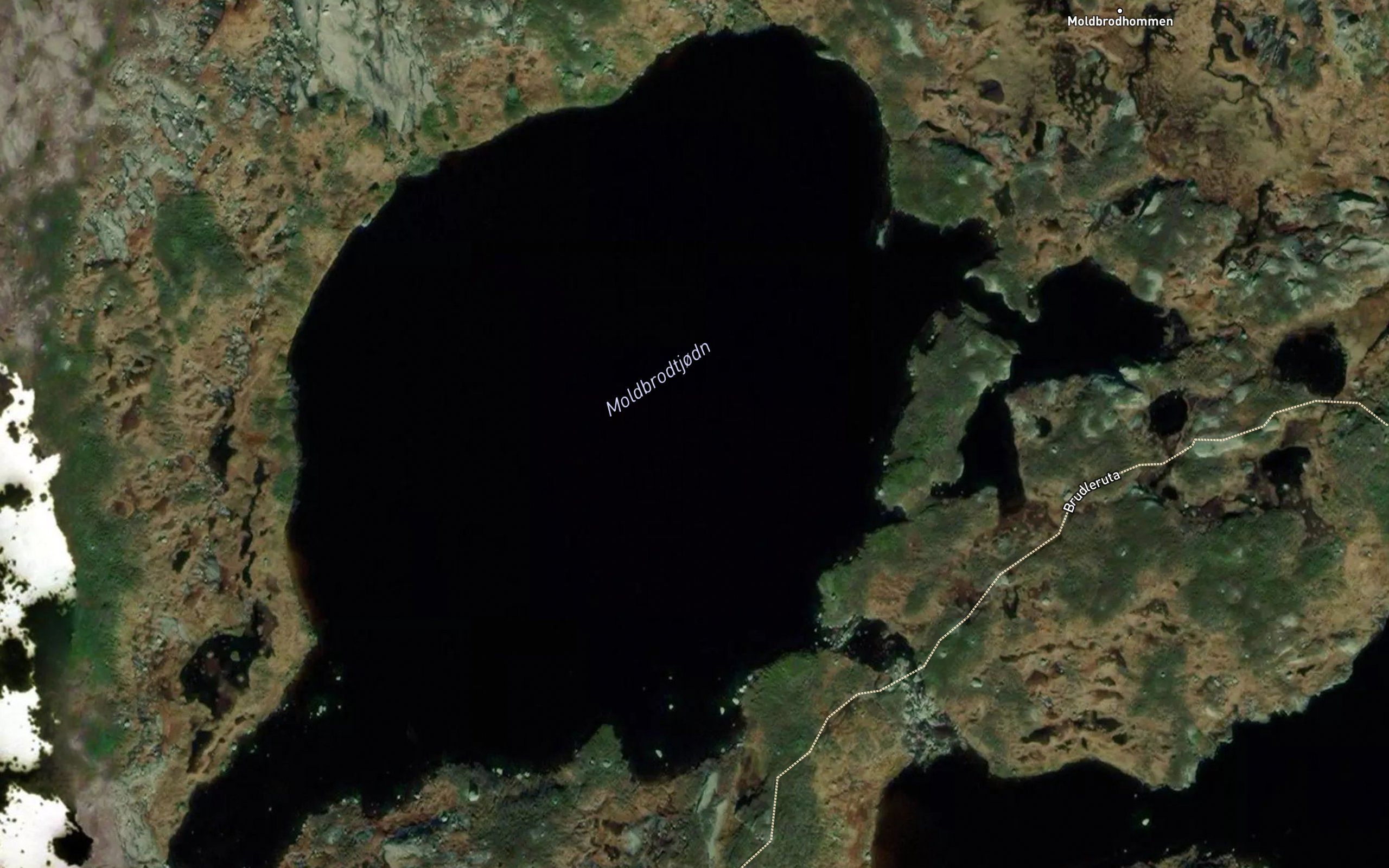 Moldbrottjorni