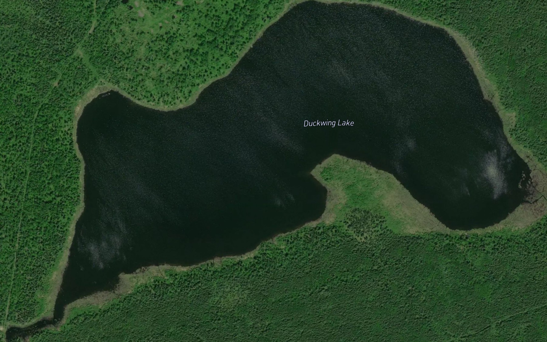 Satellite map of the Duckwing Lake