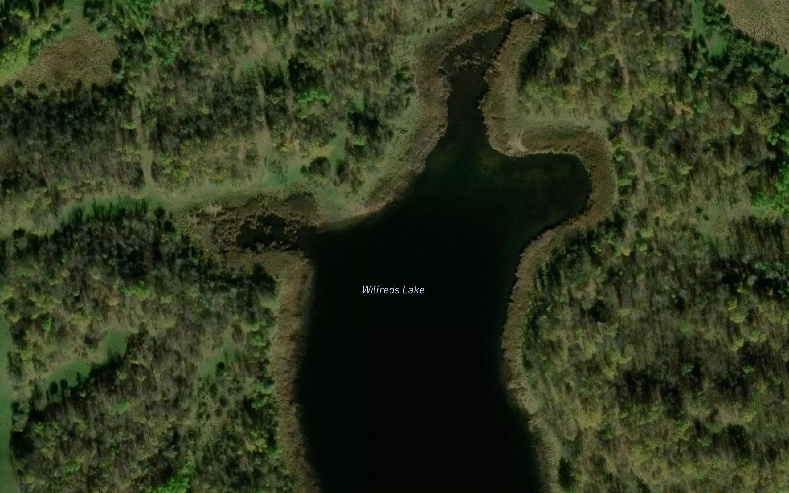 Wilfreds Lake