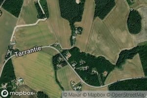 Savikoinoja
