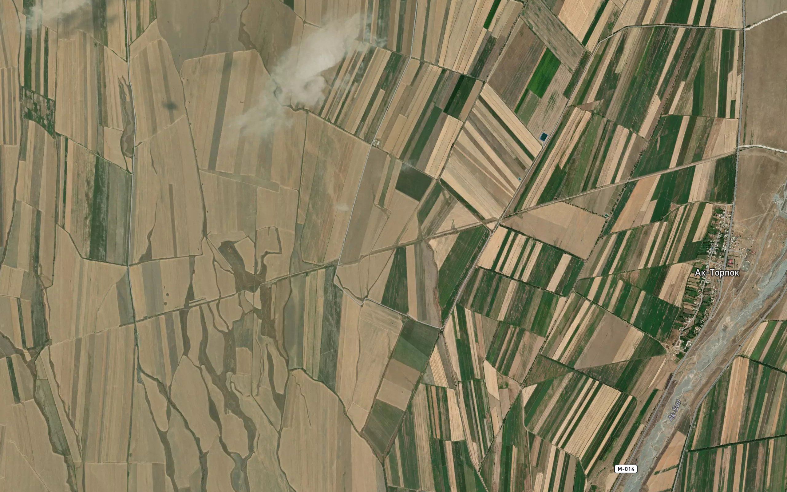 Aryk Murake