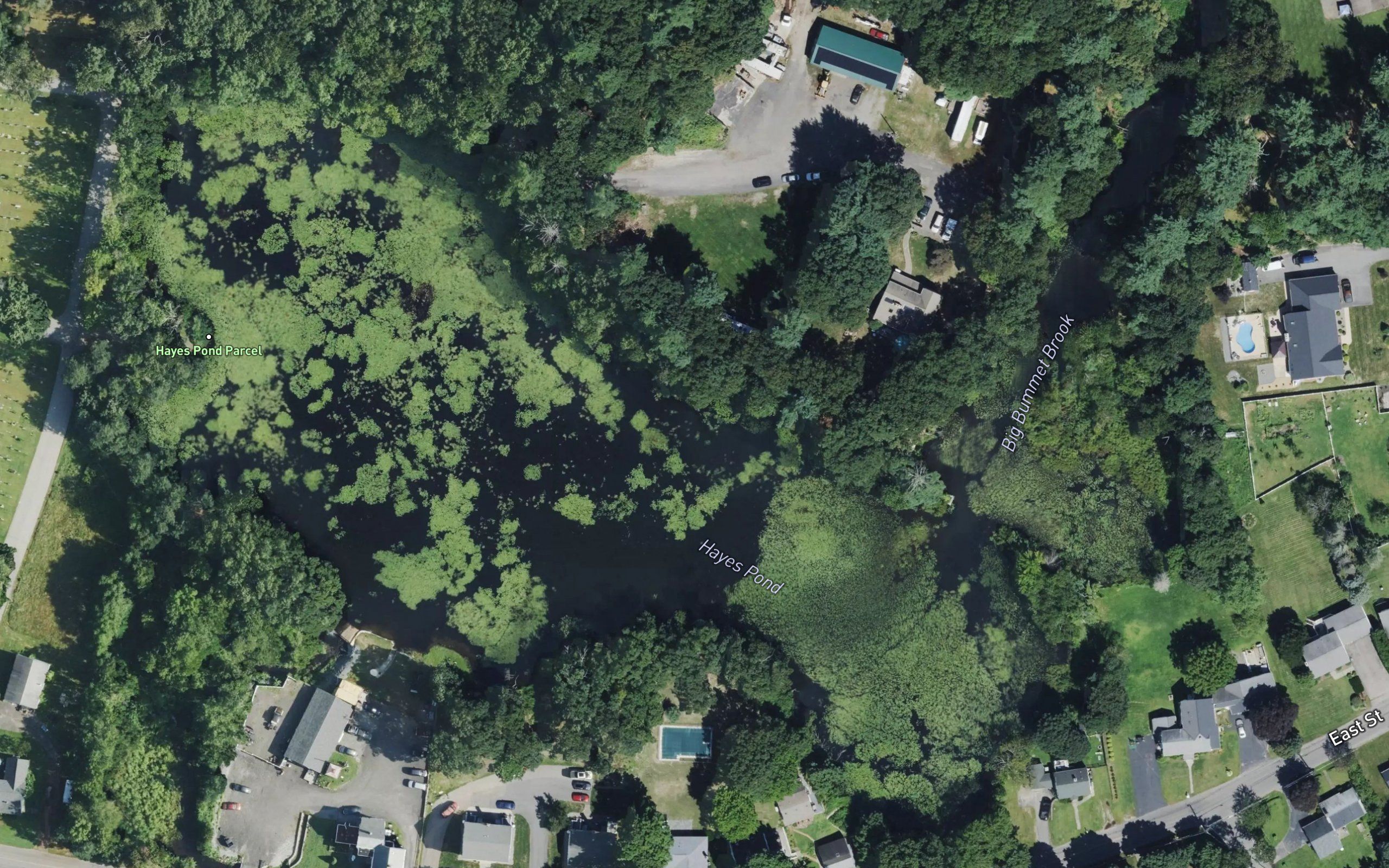 Hayes Pond