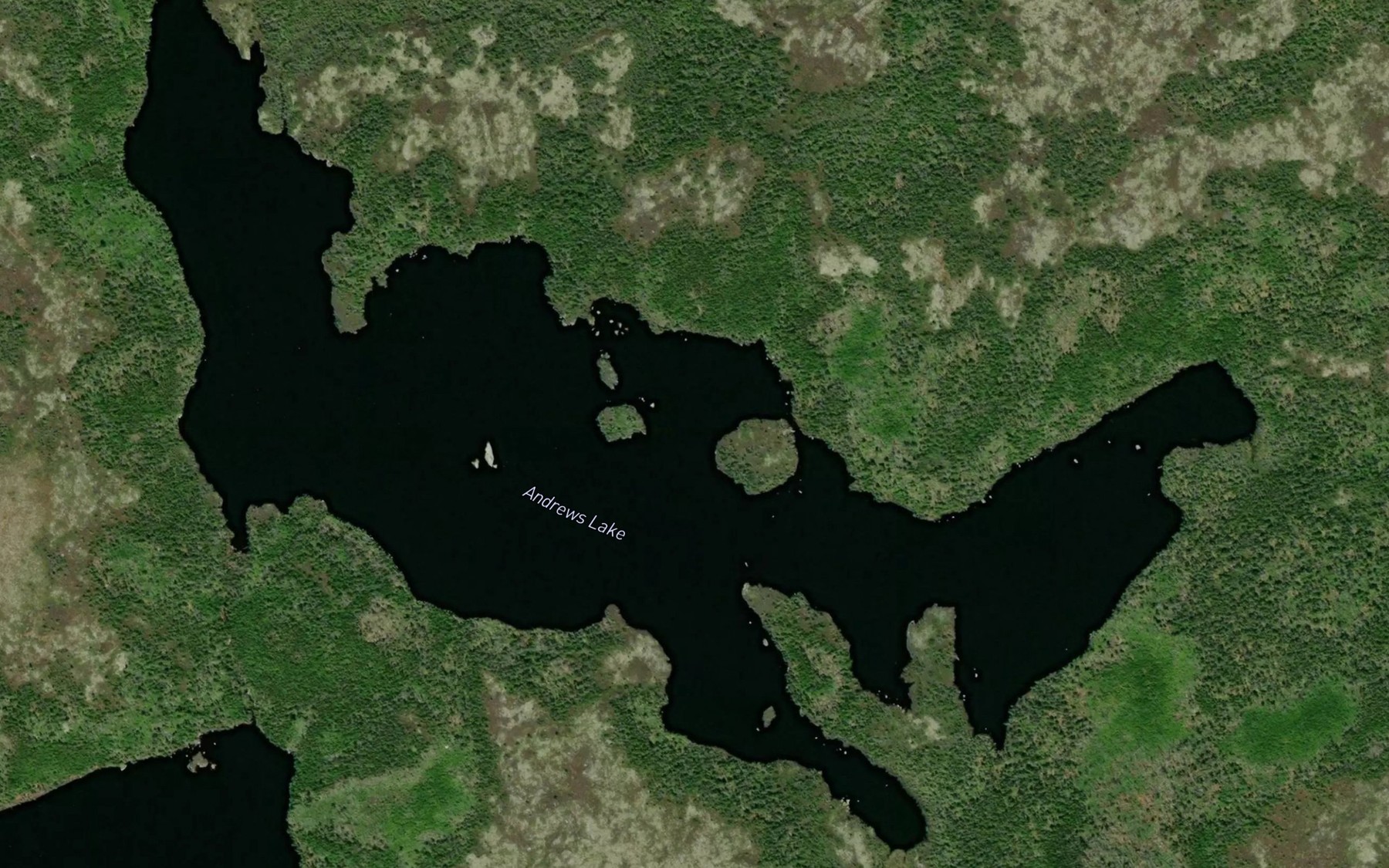 Satellite map of the Andrews Lake