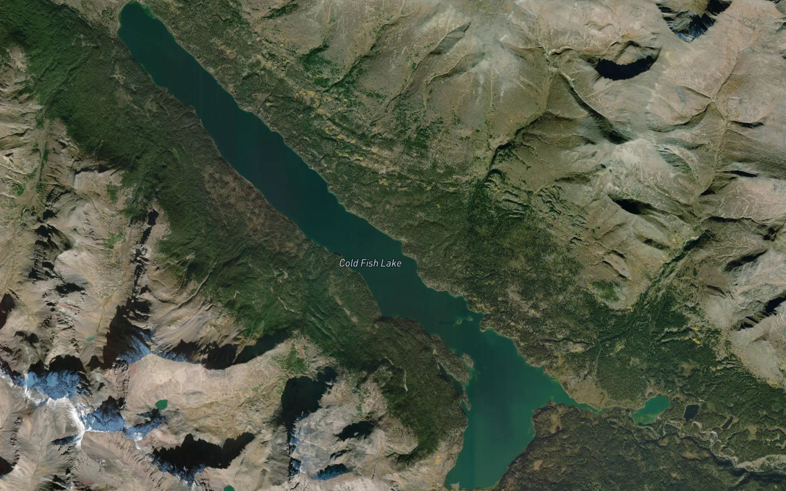 Cold Fish Lake