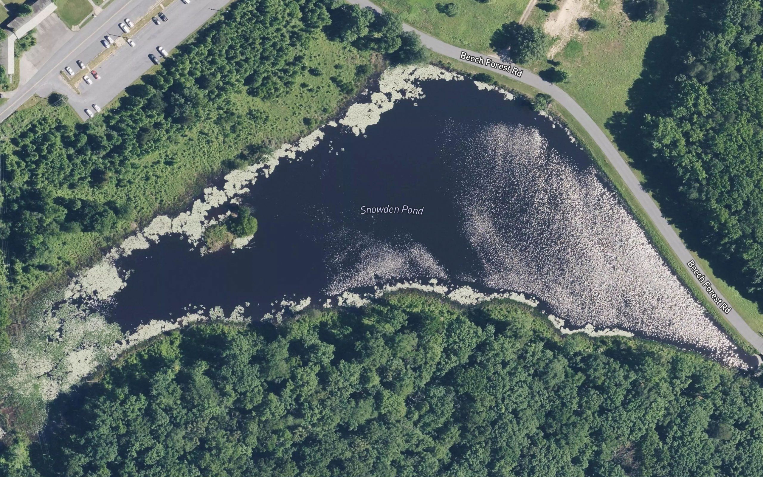 Snowden Pond