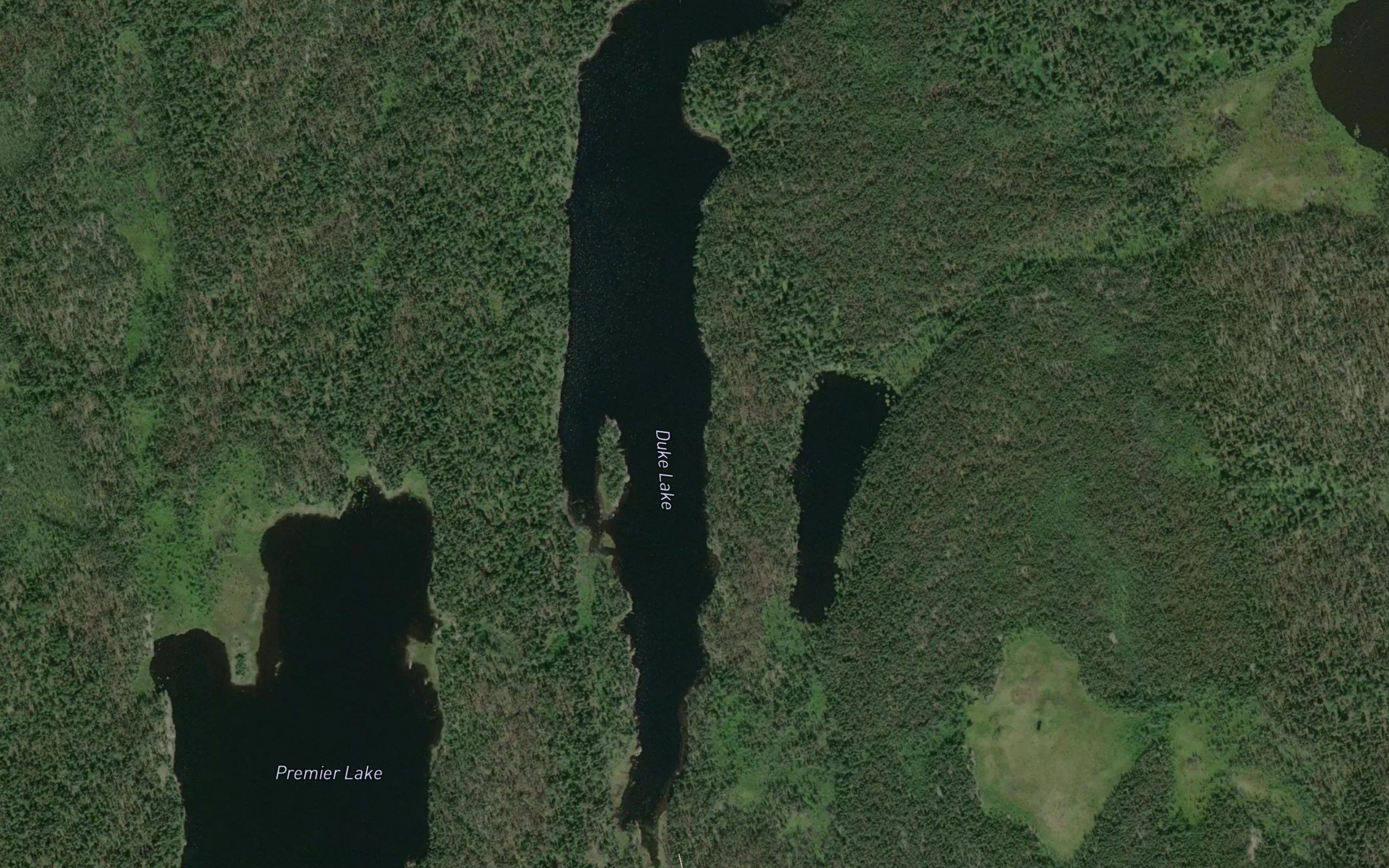 Duke Lake