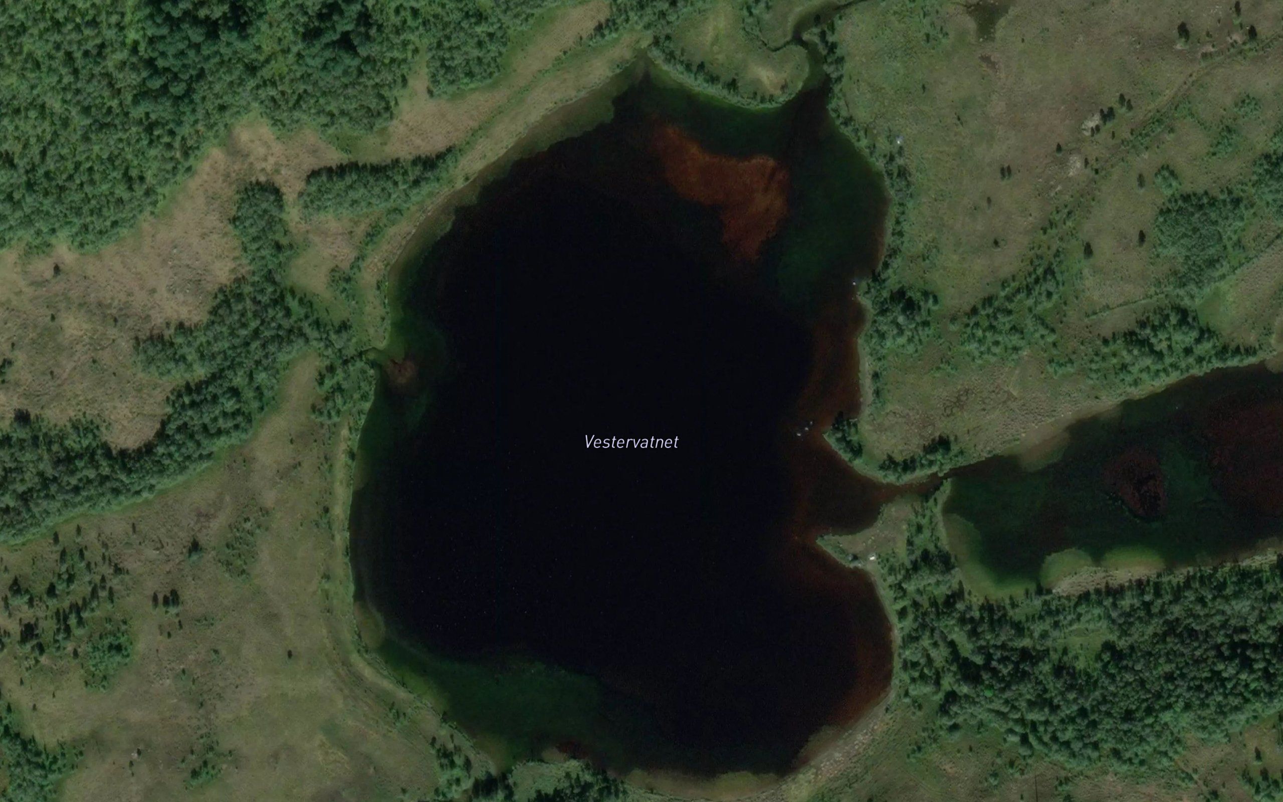 Vestervatnet