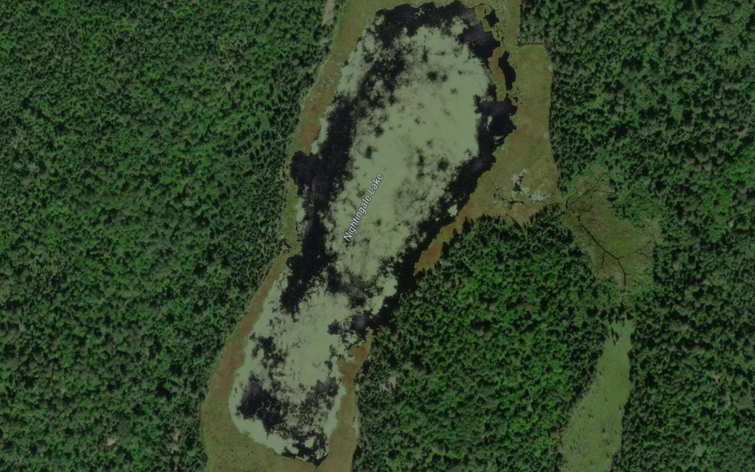 Nightingale Lake