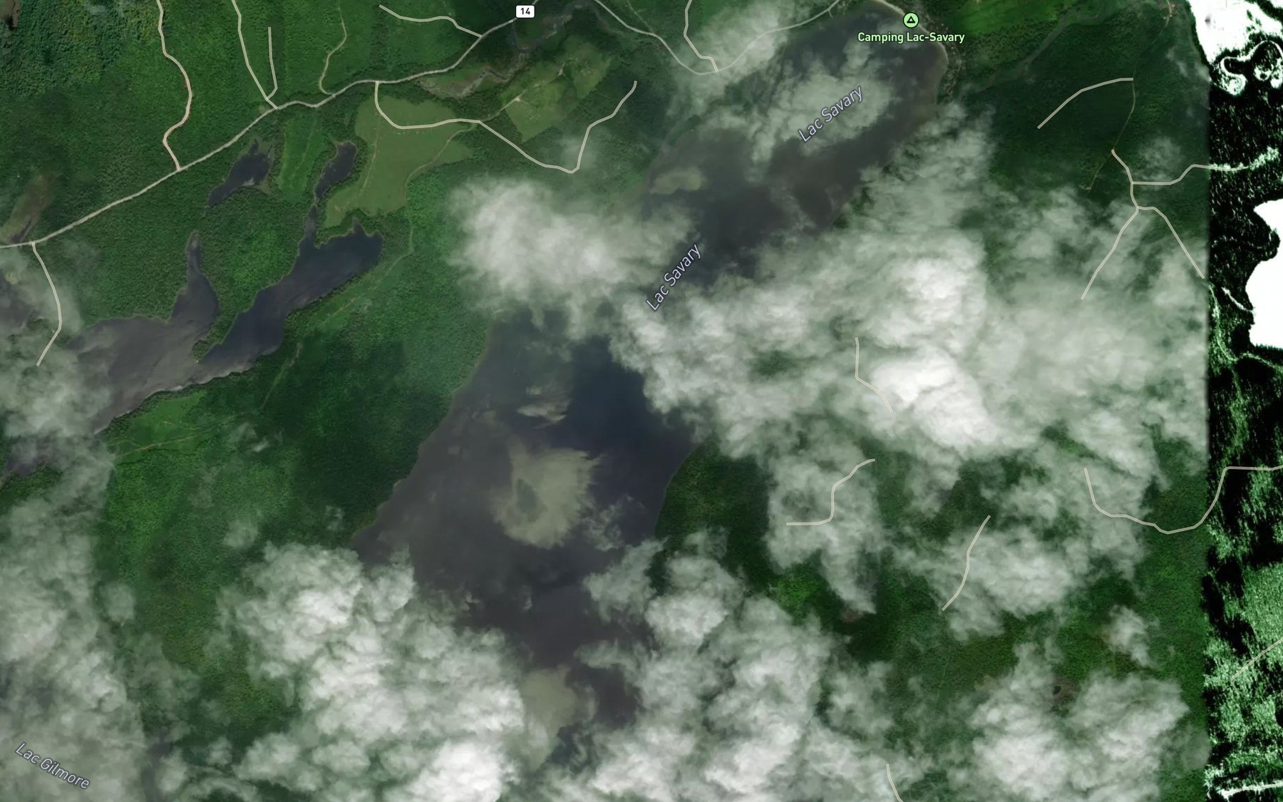 Satellite map of the Lac Savary