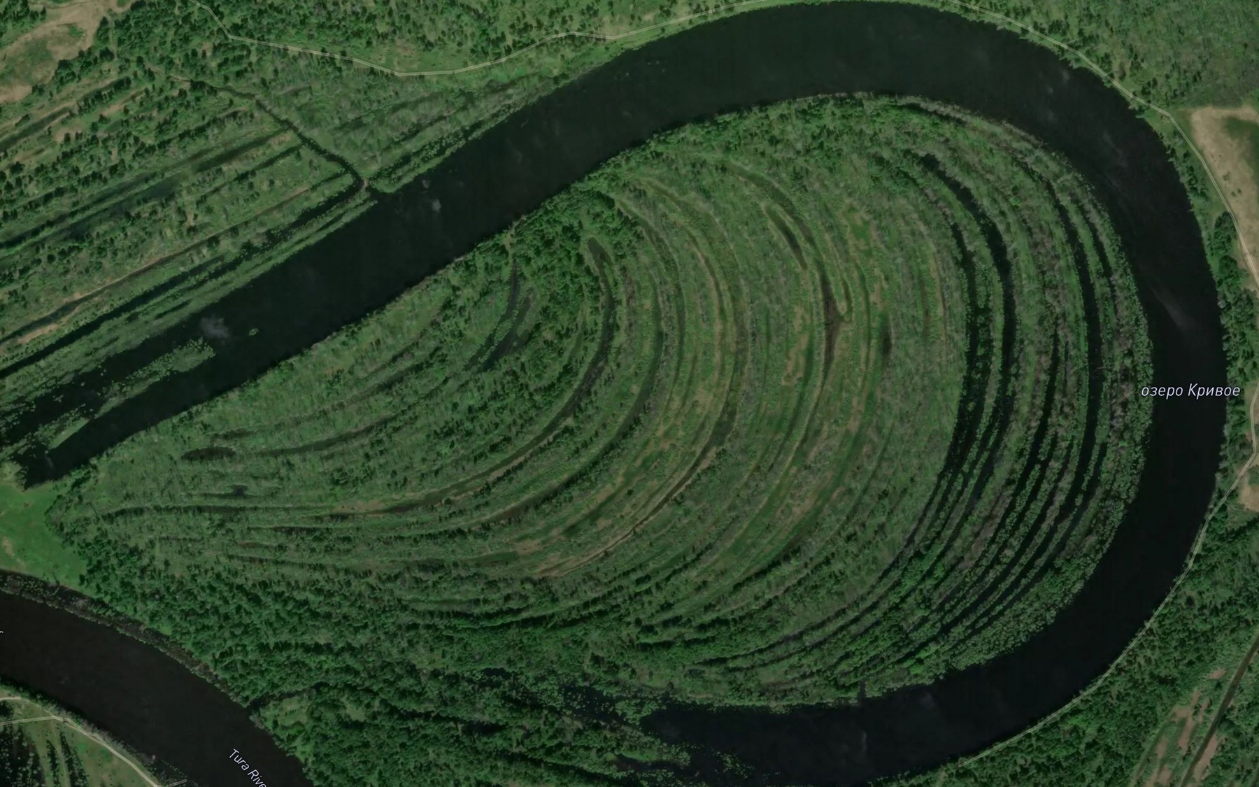 Satellite map of the Ozero Krivoye