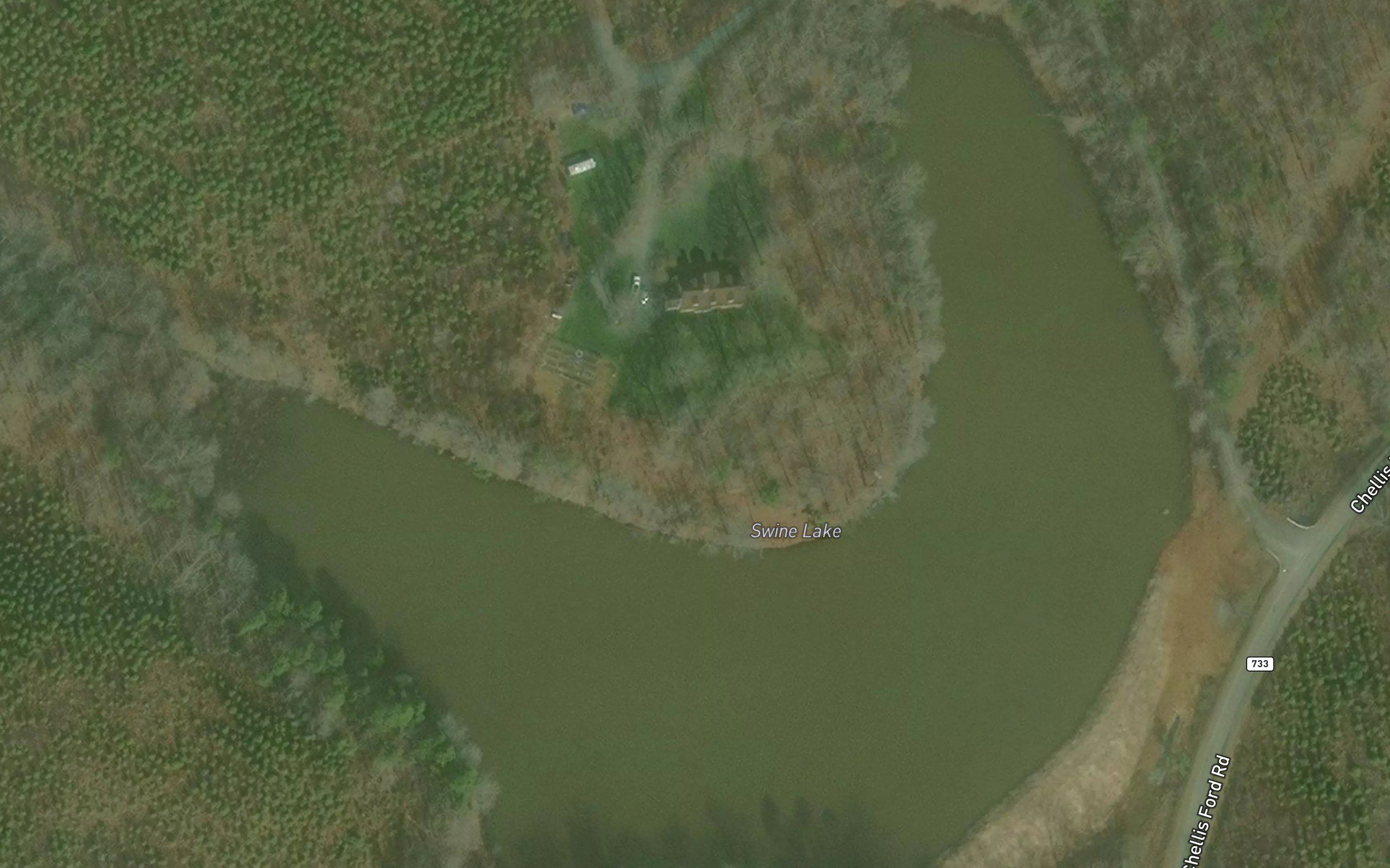 Swine Lake