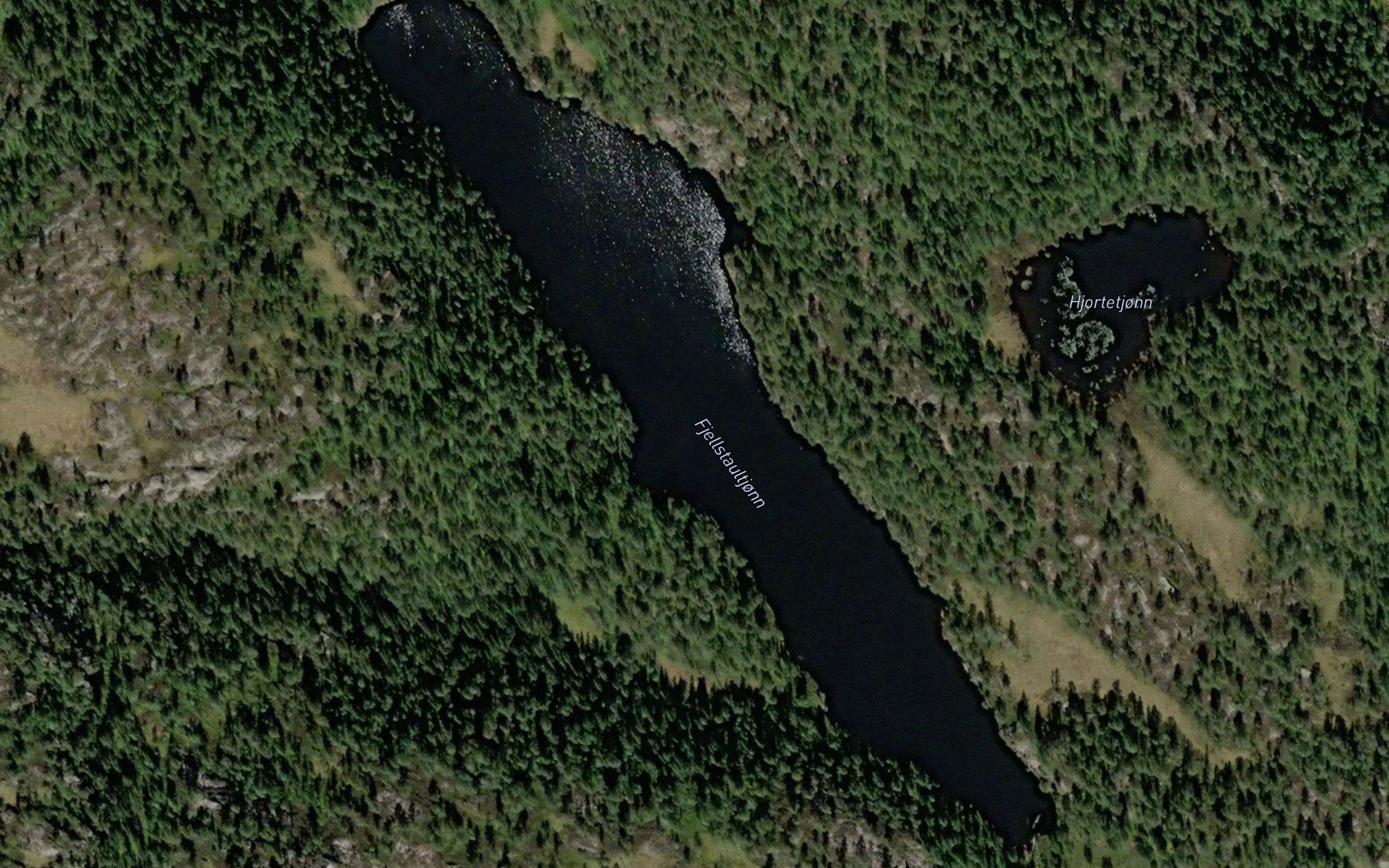 Fjellstaultjorni