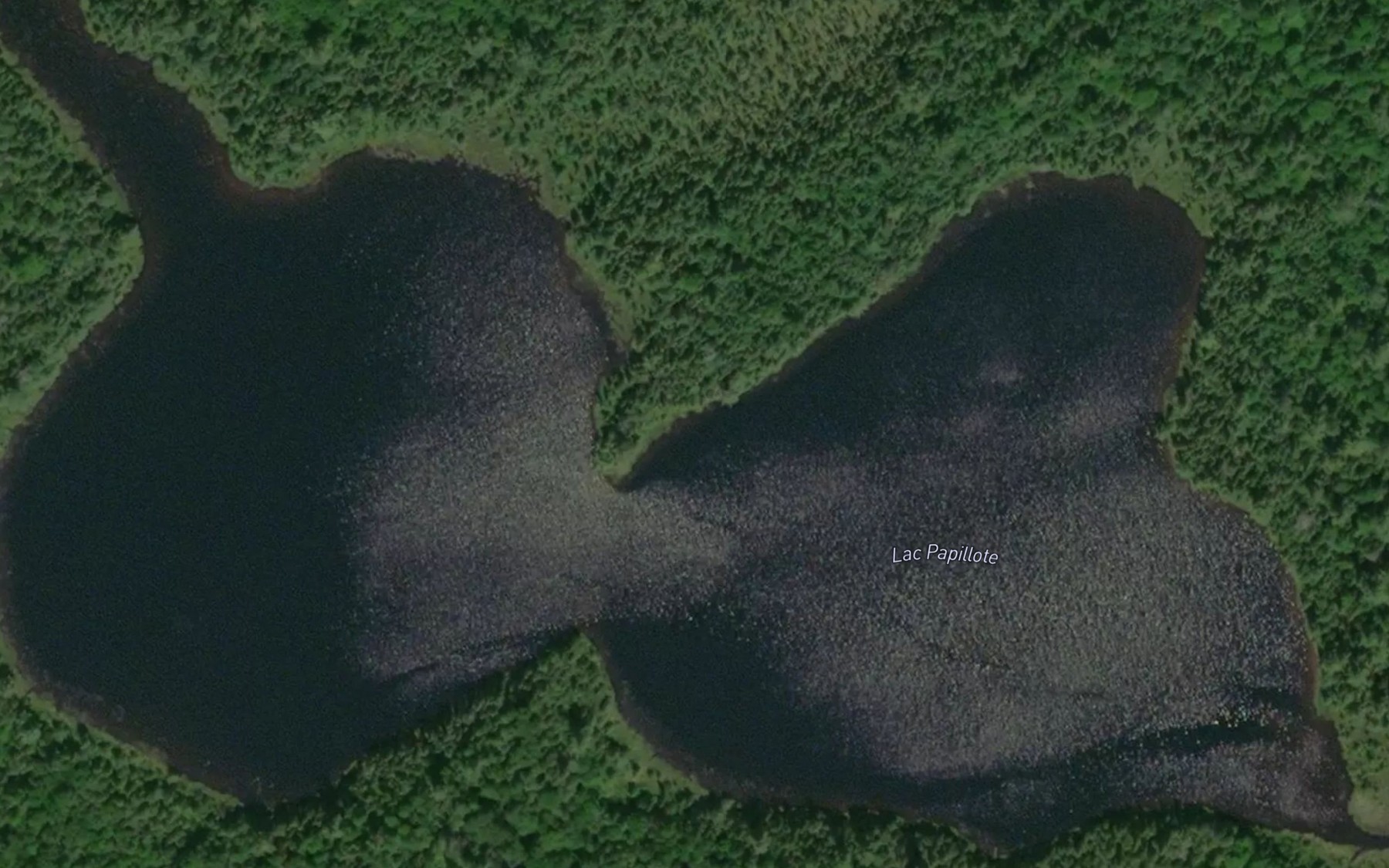 Satellite map of the Lac Papillote