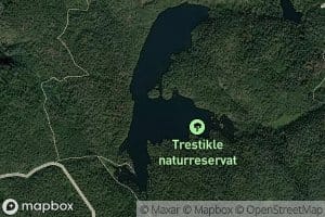 Trestiklevannet