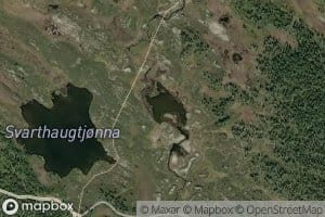 Ansemtjonna