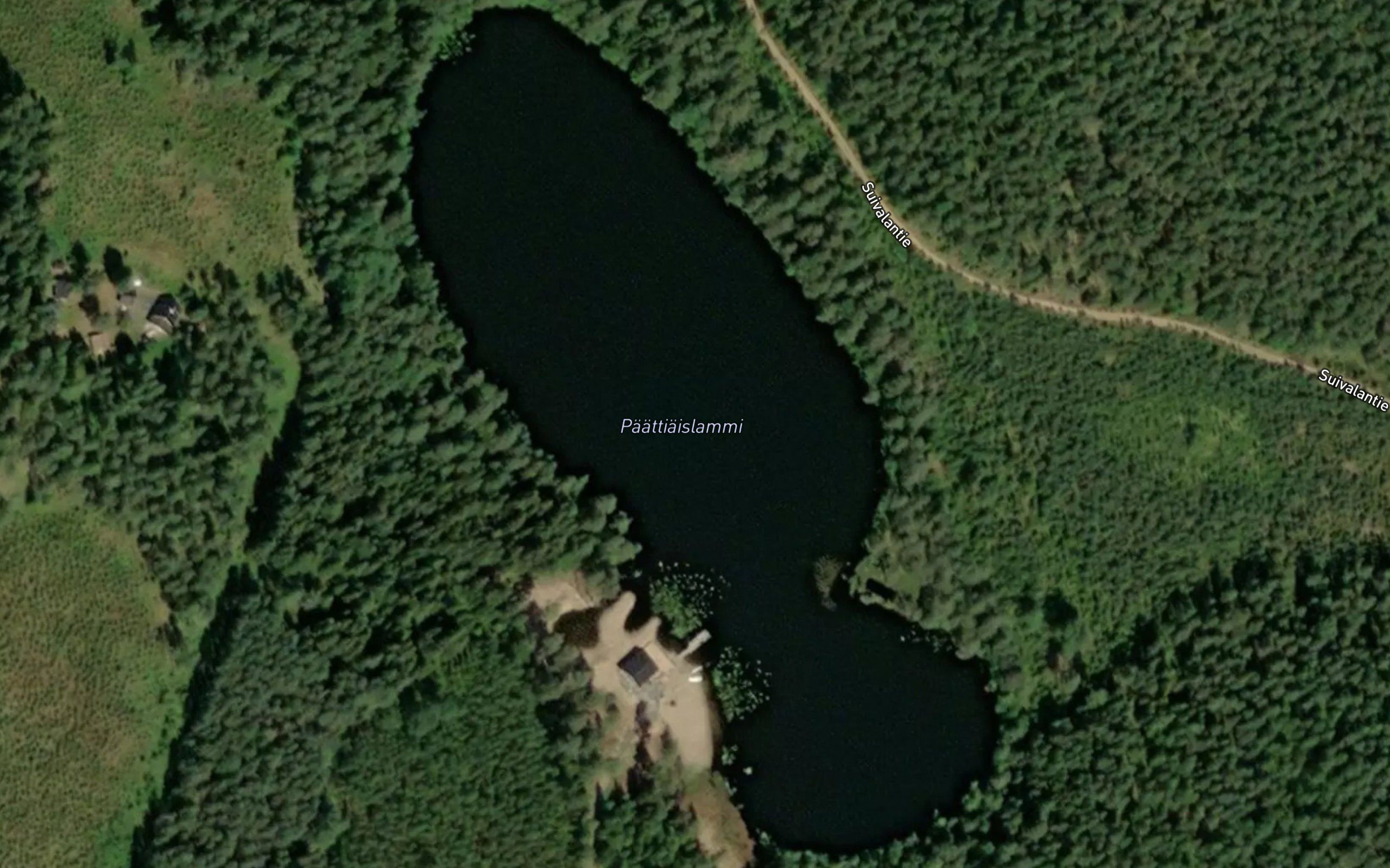Paattiaislammi