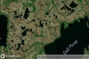 Gull Pond
