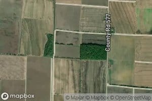 Rose Pond (historical)