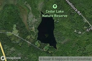 Little Tedford Lake