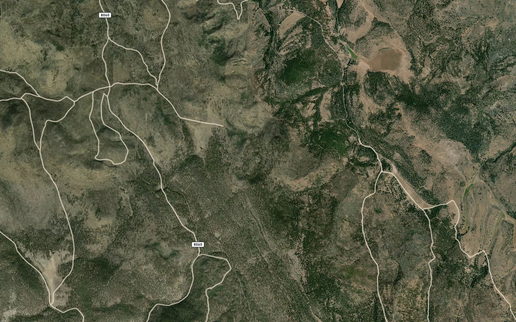 Satellite map of the Wayman Spring