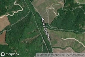 Tom Creek