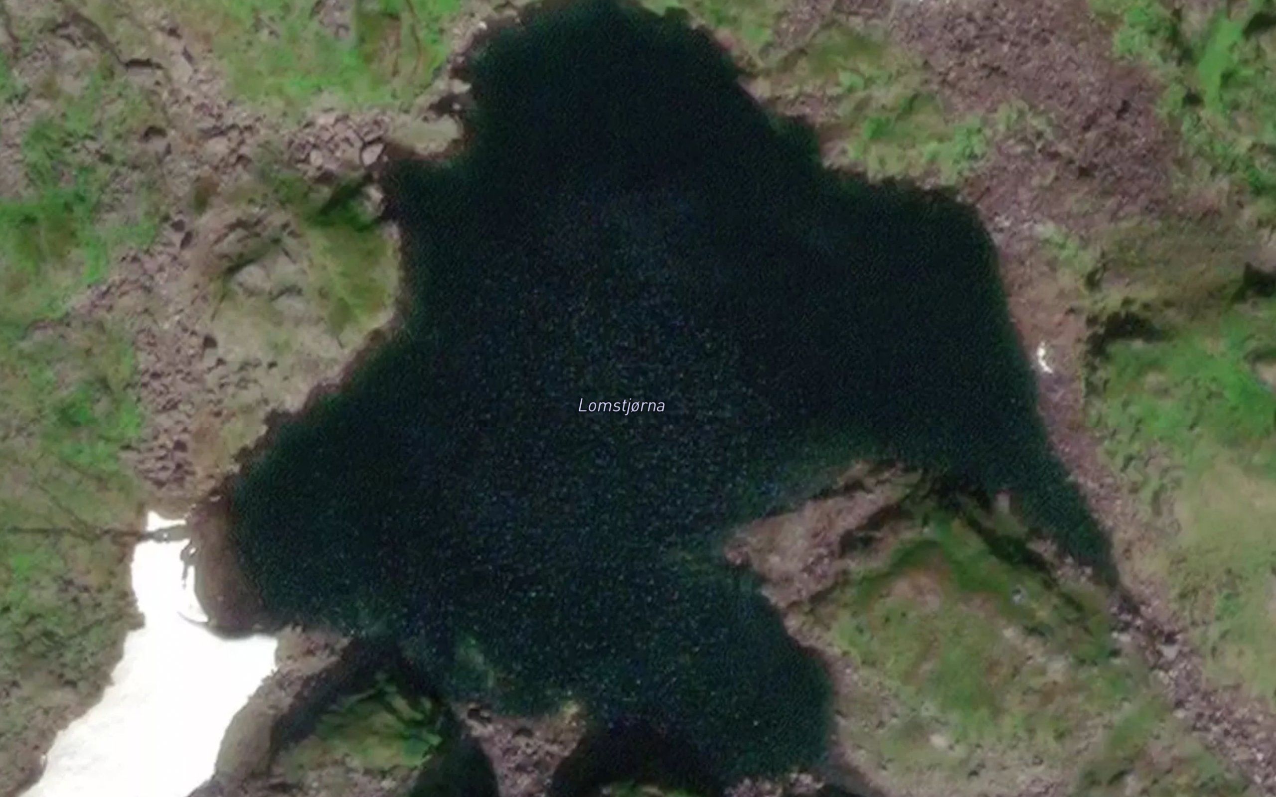 Lomstjorna