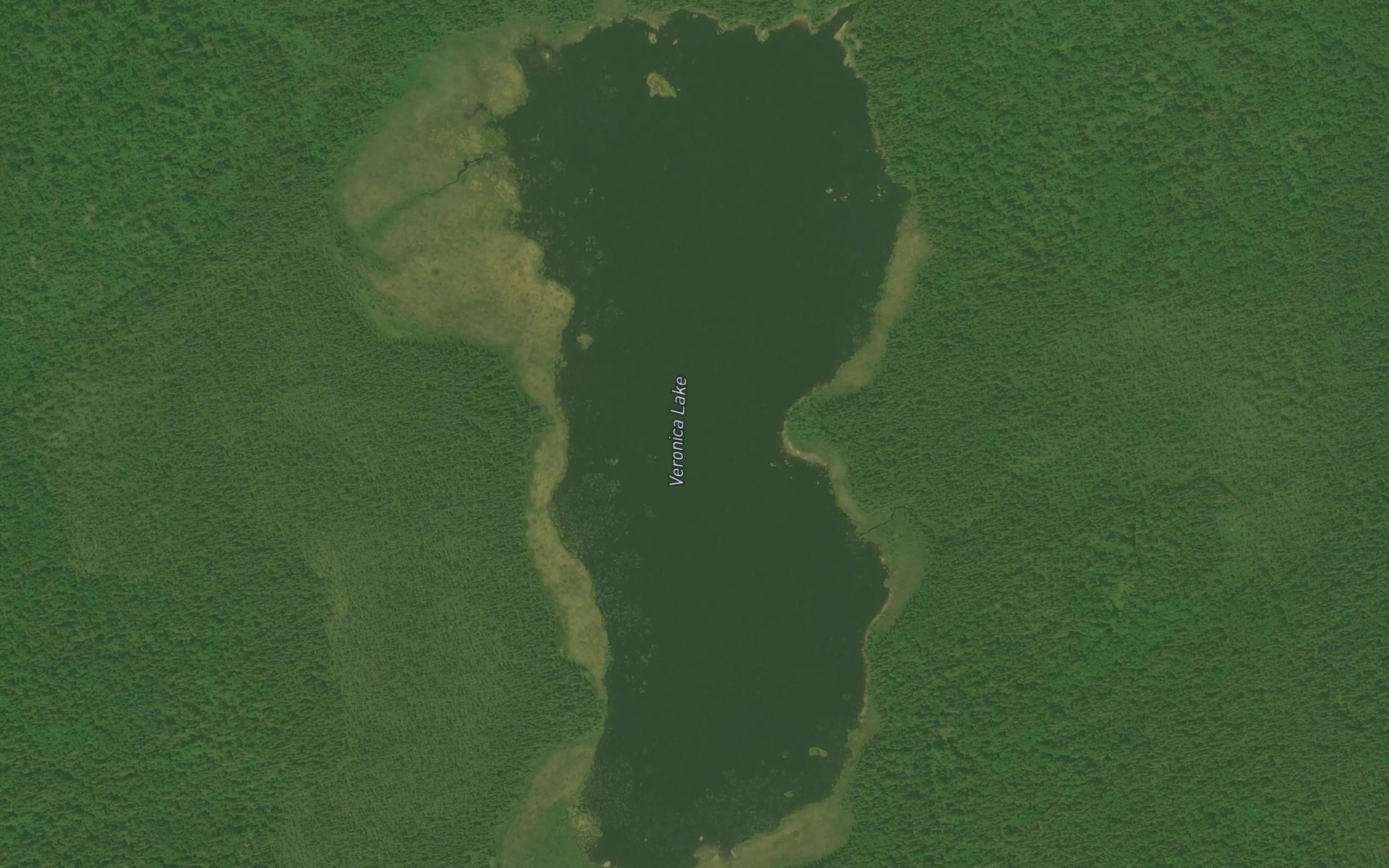 Satellite map of the Veronica Lake