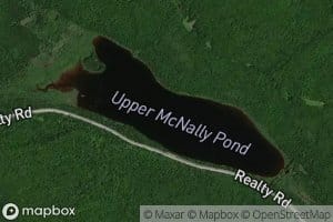 Upper McNally Pond