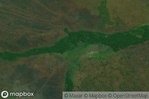Makungu